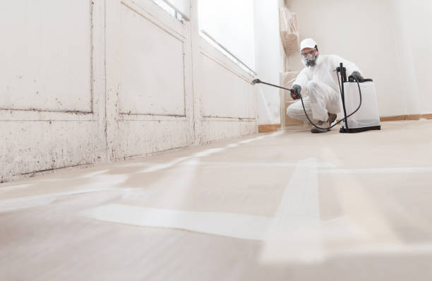 24/7 Emergency Black Mold Removal experts in Allenwood, NJ