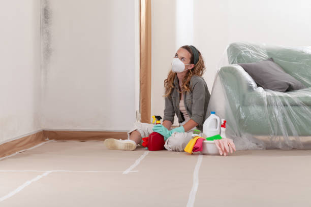 Reliable Black Mold Removal contractor in Allenwood, NJ by WQB Mold Removal